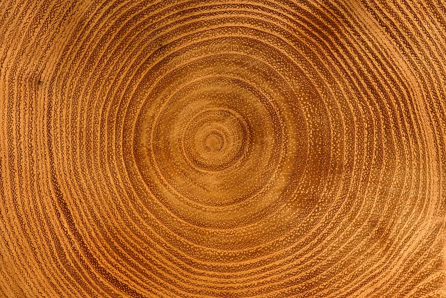 wood in circle